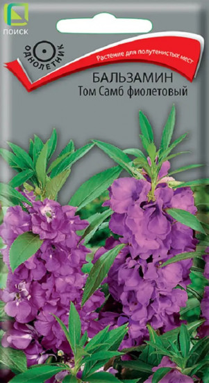 Семена бальзамина «Том Самб фиолетовый»