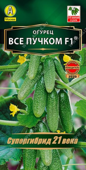Семена огурца «Все пучком»