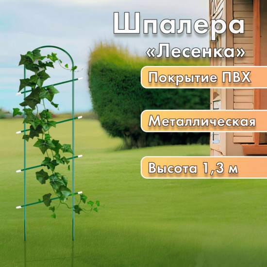 Шпалера «Лесенка»