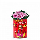 Растущая трава в консервной банке «Цветок любви», ипомея