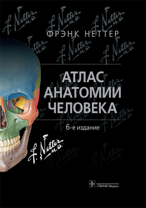Атлас анатомии человека