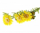Цветы искусственные «Ромашки жёлтые»