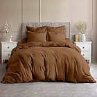 семейное дуэт