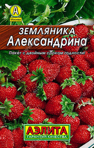 Семена земляники «Александрина»
