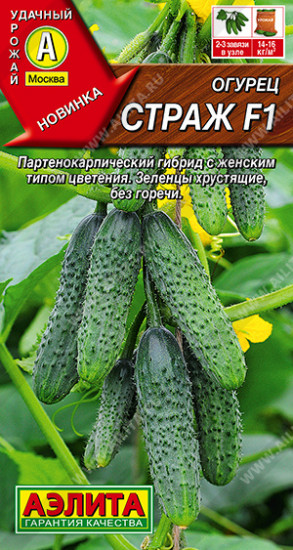 Семена огурца «Страж F1»