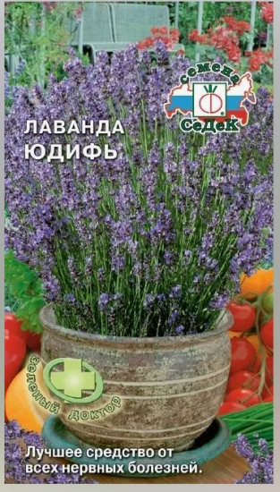 Семена лаванды «Юдифь»