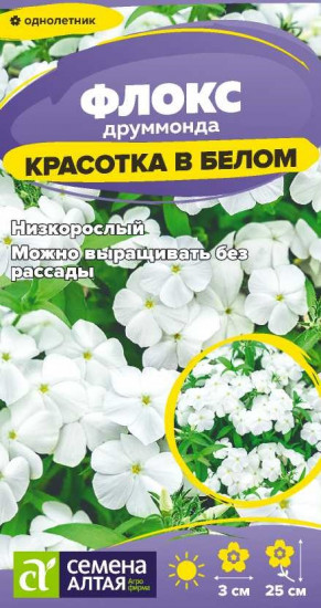 Семена флокса «Красотка в белом»