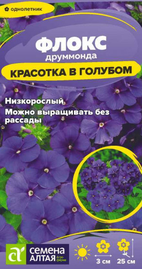 Семена флокса «Красотка в голубом»