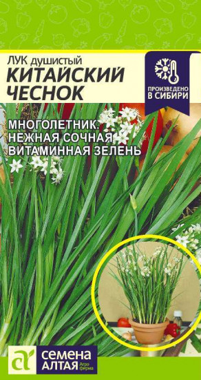 Семена лука душистого «Китайский чеснок»