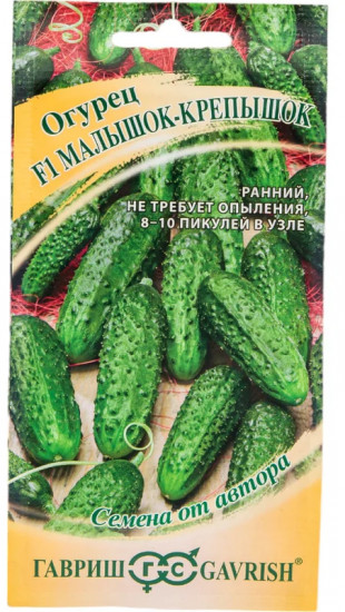 Семена огурца «Малышок-крепышок»