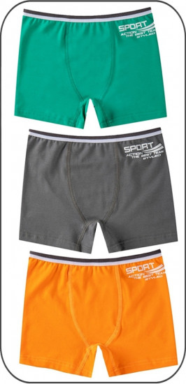 Комплект трусов для мальчиков