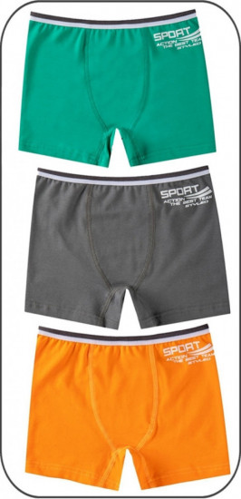 Комплект трусов для мальчиков