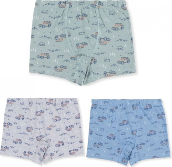 Комплект трусов для мальчиков