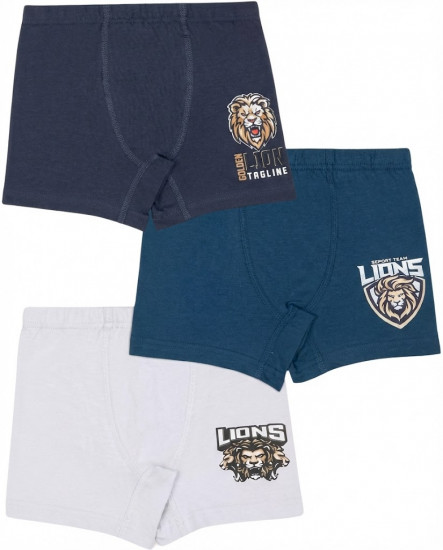 Комплект трусов для мальчиков