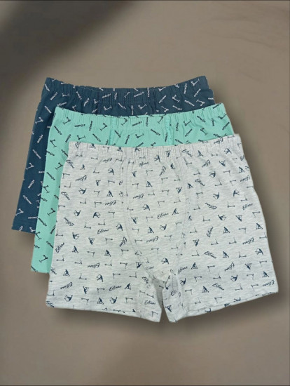 Комплект трусов для мальчиков