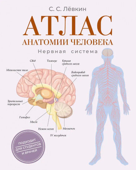 Атлас анатомии человека. Нервная система