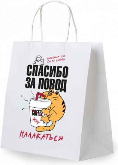 Пакет подарочный