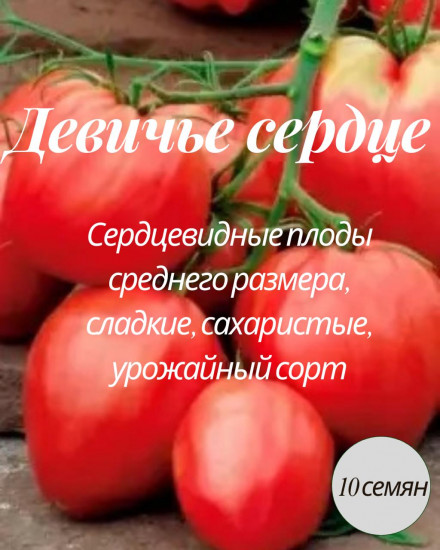 Семена коллекционные томата «Девичье сердце»