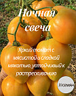 Семена томата «Ночная свеча»