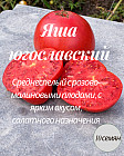 Коллекционные семена томата «Яша югославский»