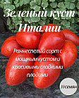 Коллекционные семена томата «Зеленый куст Италии»