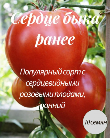 Коллекционные семена томата «Сердце быка раннее»