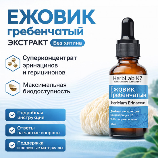 Экстракт ежовика гребенчатого