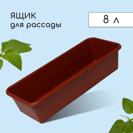 Ящик для рассады