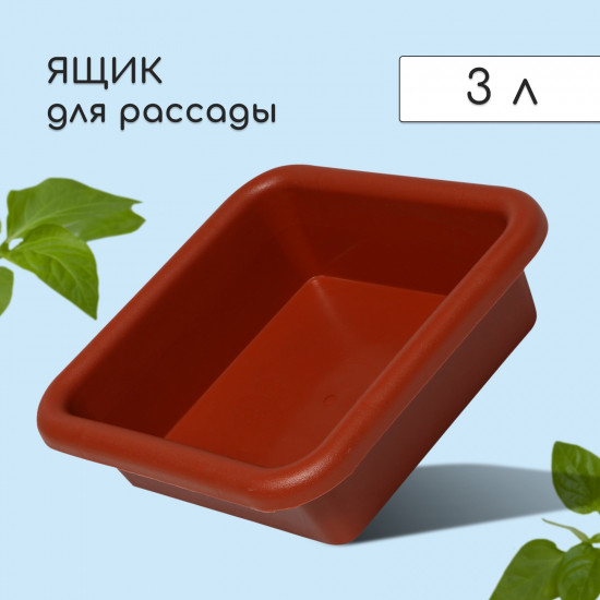 Ящик для рассады