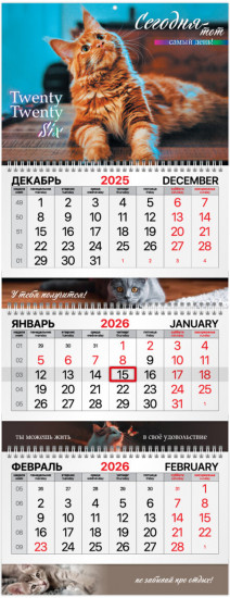 Календарь квартальный на 2026 год «Котик»