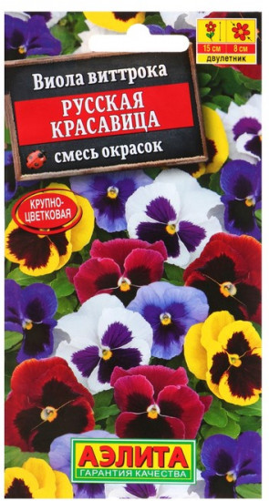 Виола «Русская красавица»