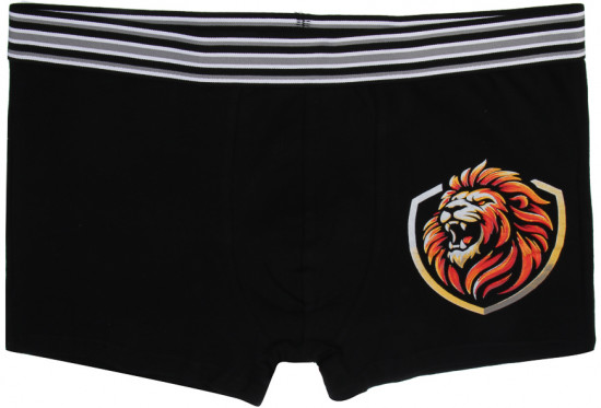 Трусы-боксеры мужские