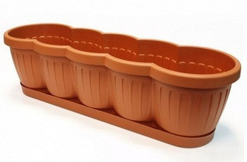 Балконный ящик «Begonia» (60 см)