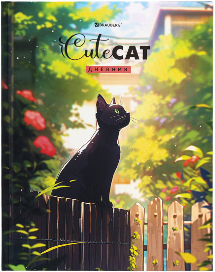 \Дневник для 1-11 классов