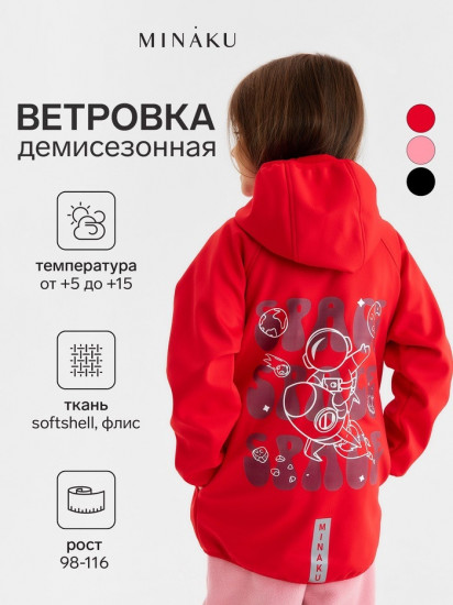 Ветровка с капюшоном детская