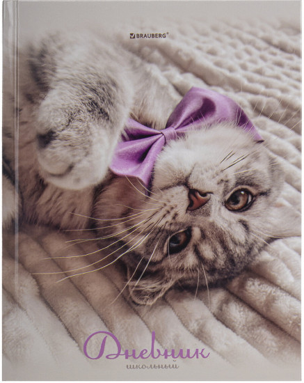 Дневник 5-11 класс