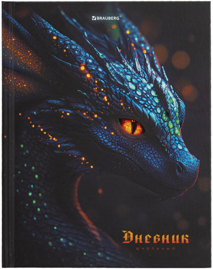 Дневник для 5-11 классов