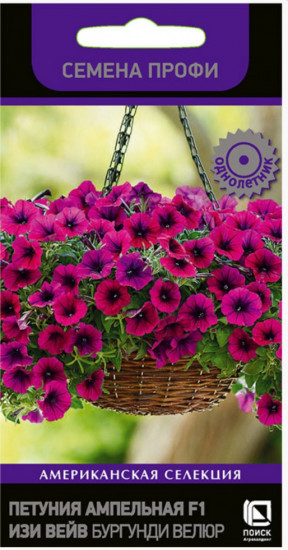 Семена петунии «Изи Вейв Бургунди Велюр F1»
