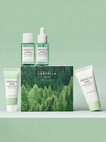 Дорожный миниатюрный набор для ухода за лицом «Madagascar Centella Tea-Trica Travel kit»