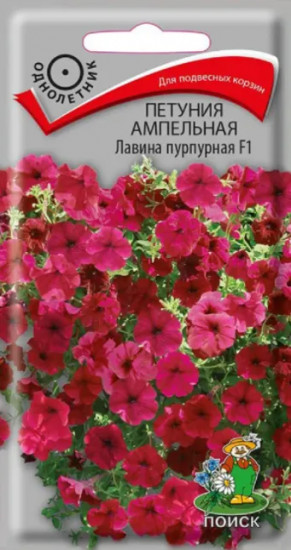 Петуния ампельная «Лавина пурпурная F1»
