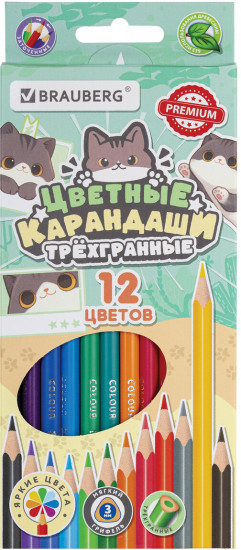 Набор карандашей цветных