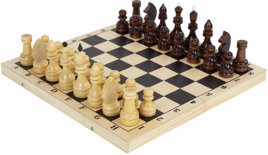 Шахматы турнирные