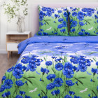 семейное дуэт