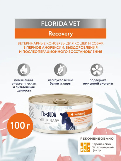 Корм для взрослых кошек и собак в период анорексии и послеоперационного восстановления ветеринарный диетический «Recovery»