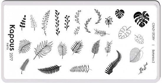 Пластина для стемпинга «Botanics 2»