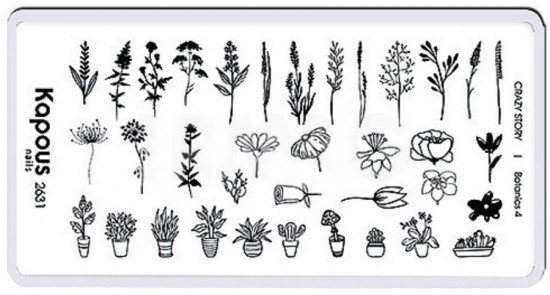 Пластина для стемпинга «Botanics 4»