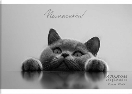 Альбом для рисования «Британский кот»