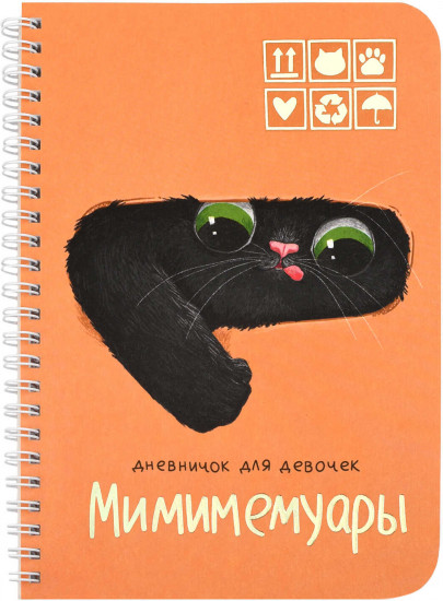 Дневничок для девочек «Кот из коробки»