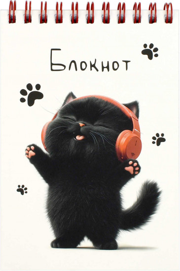 Блокнот «Котенок в наушниках»
