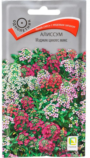 Семена «Алиссум Мэджик циклес микс»
